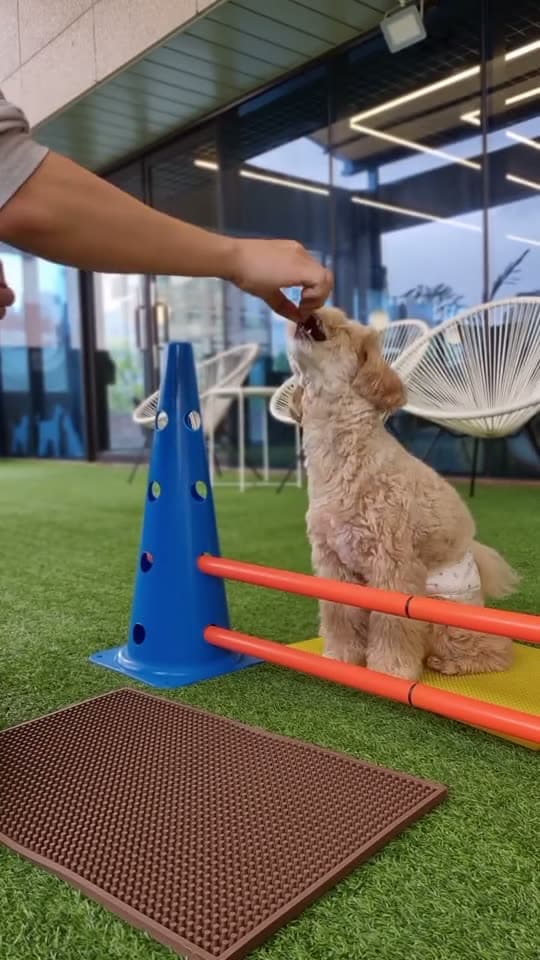 카발레티 스텝 수업 장면