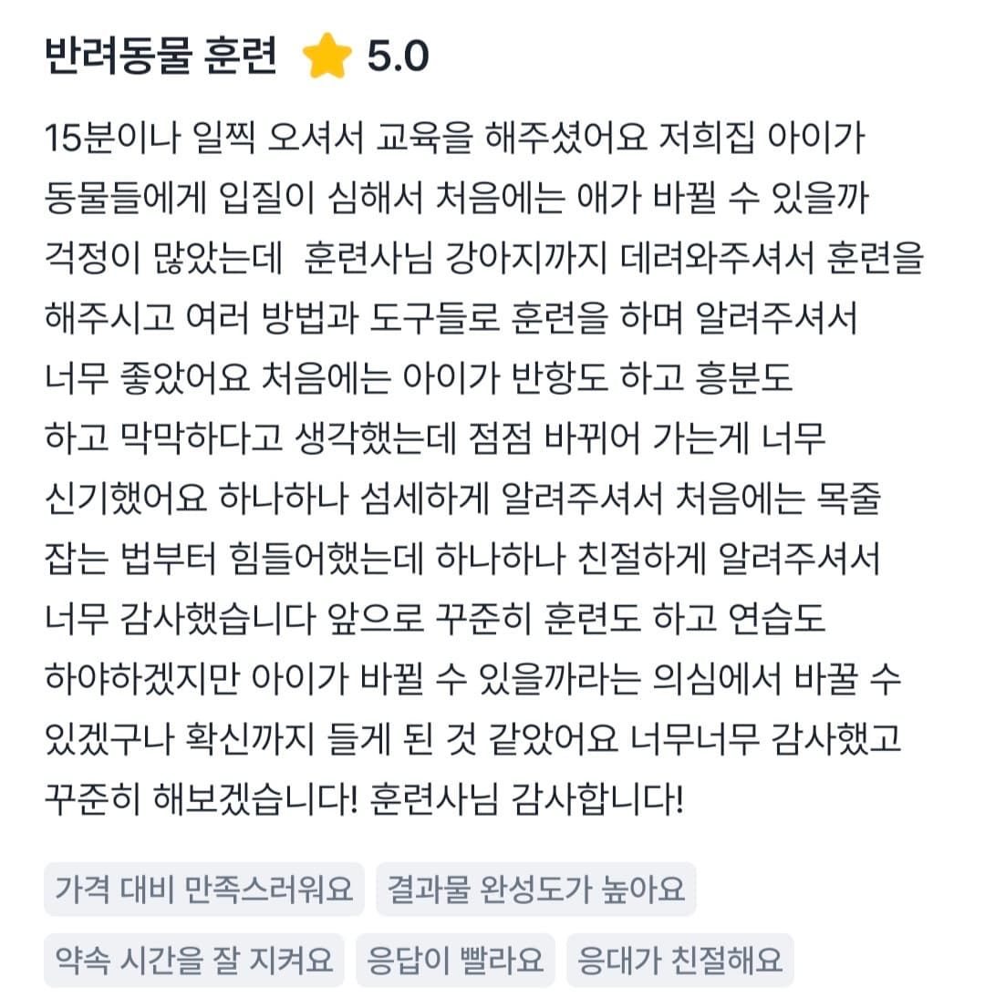 멍멍피트 강아지 방문교육 후기 1