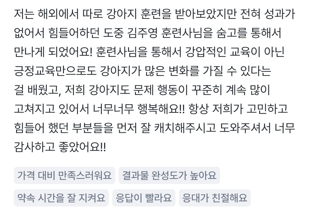 멍멍피트 강아지 방문교육 후기 2
