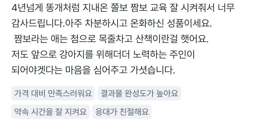 멍멍피트 강아지 방문교육 후기 3
