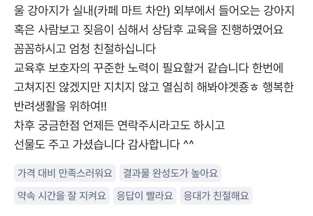 멍멍피트 강아지 방문교육 후기 5