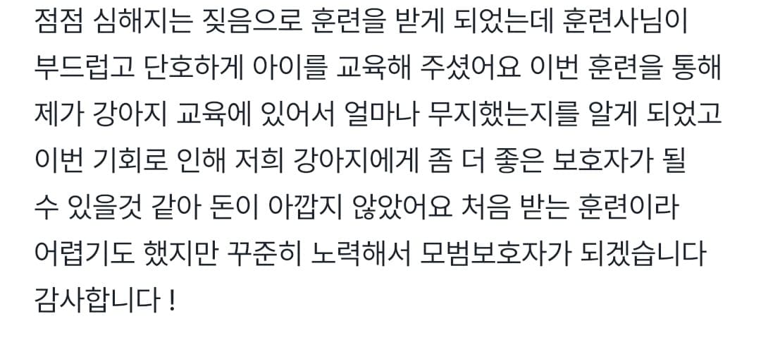 멍멍피트 강아지 방문교육 후기 9
