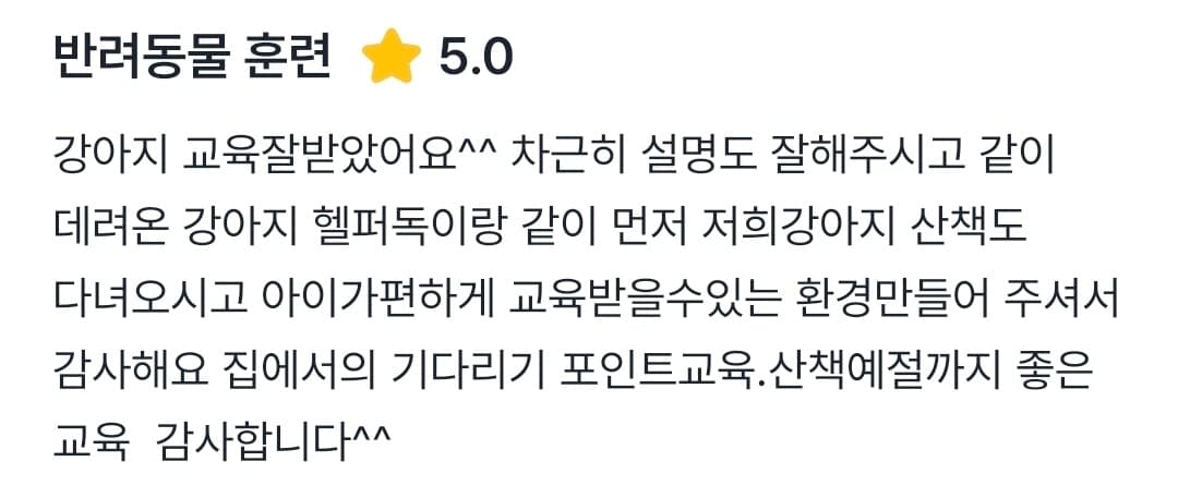 멍멍피트 강아지 방문교육 후기 10