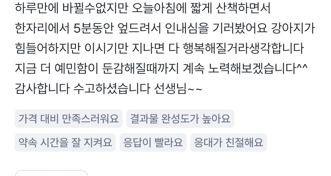 멍멍피트 강아지 방문교육 후기 11