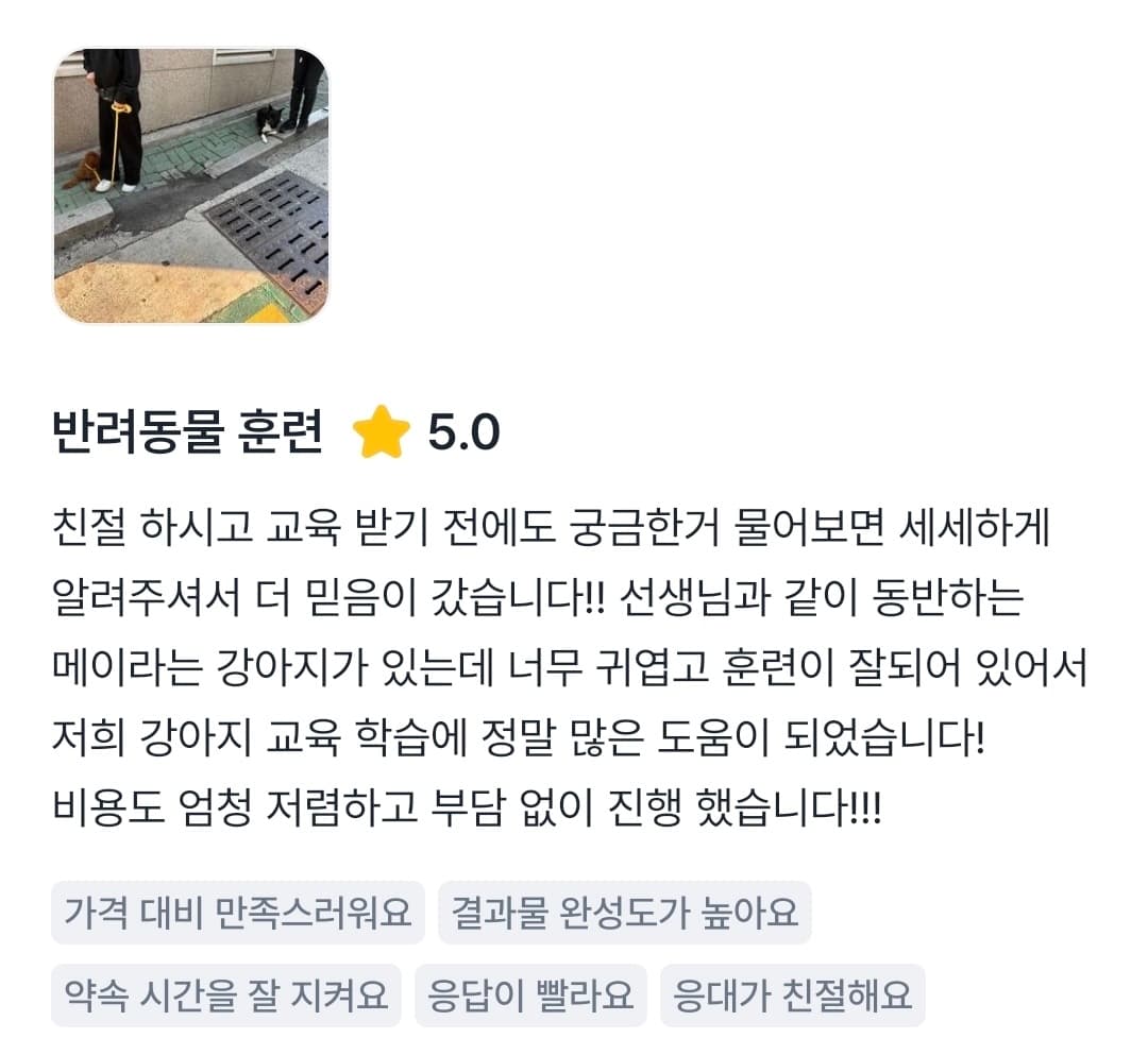 멍멍피트 강아지 방문교육 후기 12