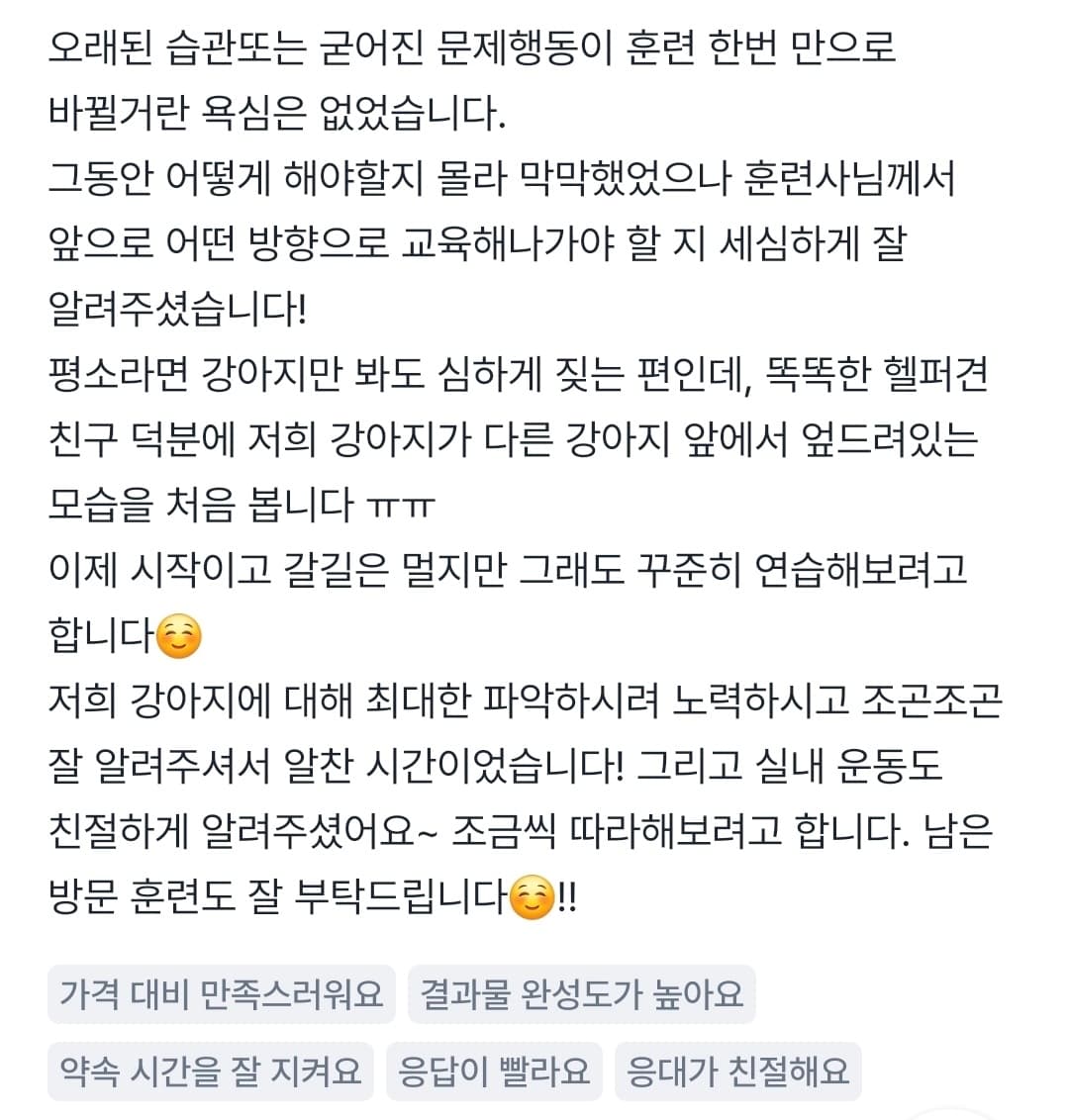 멍멍피트 강아지 방문교육 후기 13