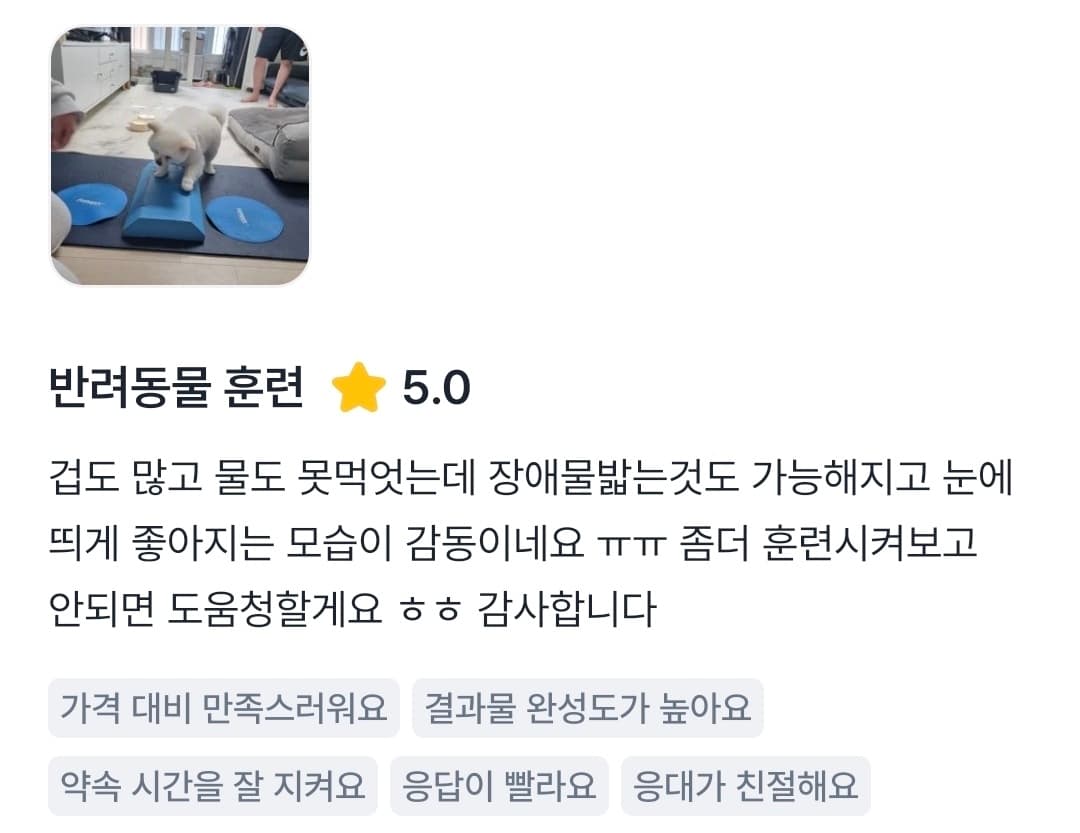 멍멍피트 강아지 방문교육 후기 14