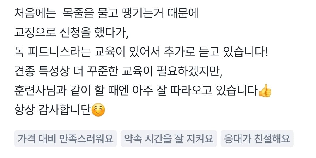 멍멍피트 강아지 방문교육 후기 16
