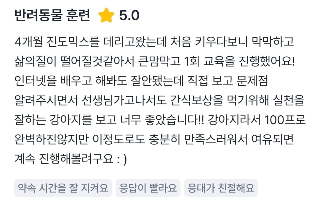 멍멍피트 강아지 방문교육 후기 18