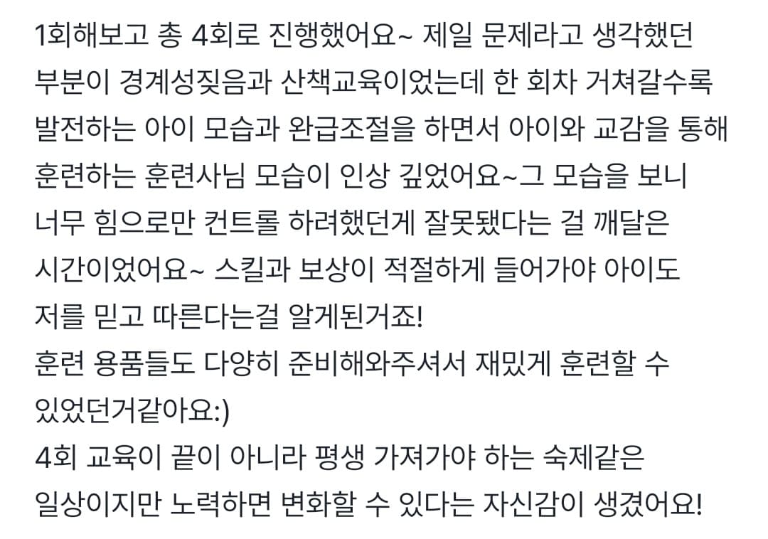 멍멍피트 강아지 방문교육 후기 19