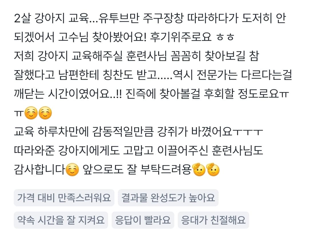 멍멍피트 강아지 방문교육 후기 20