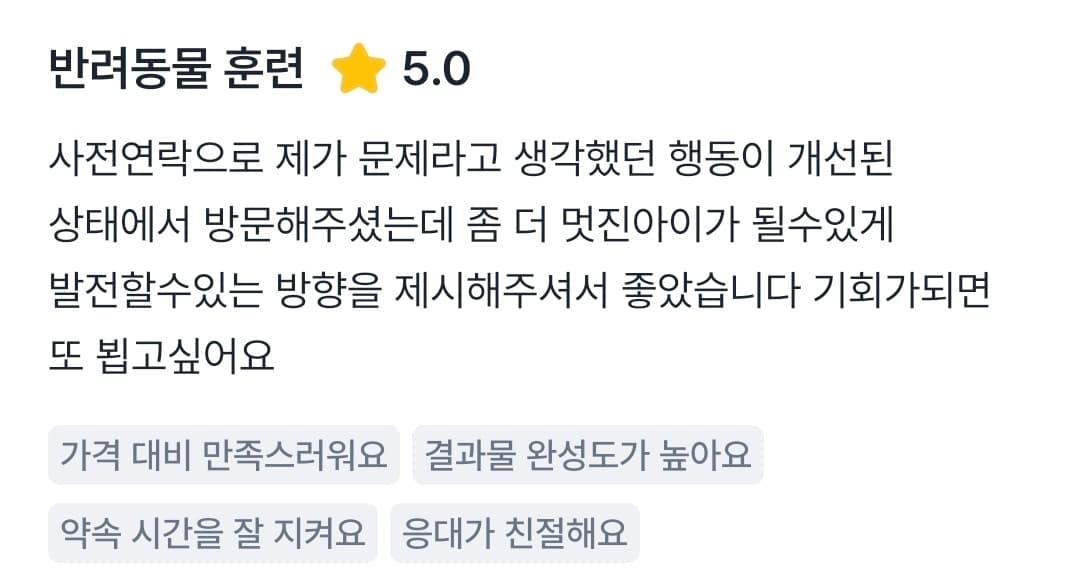 멍멍피트 강아지 방문교육 후기 21