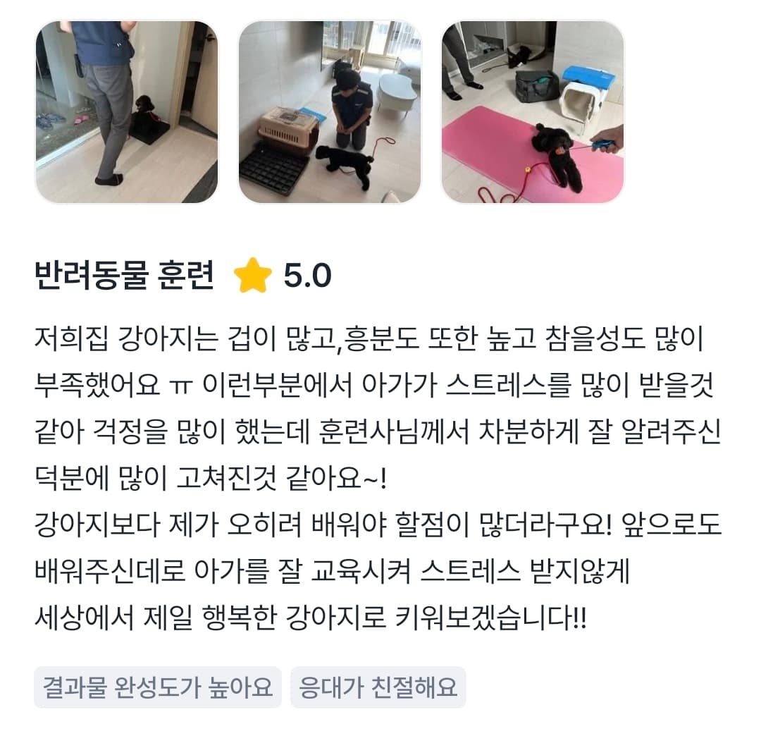 멍멍피트 강아지 방문교육 후기 22
