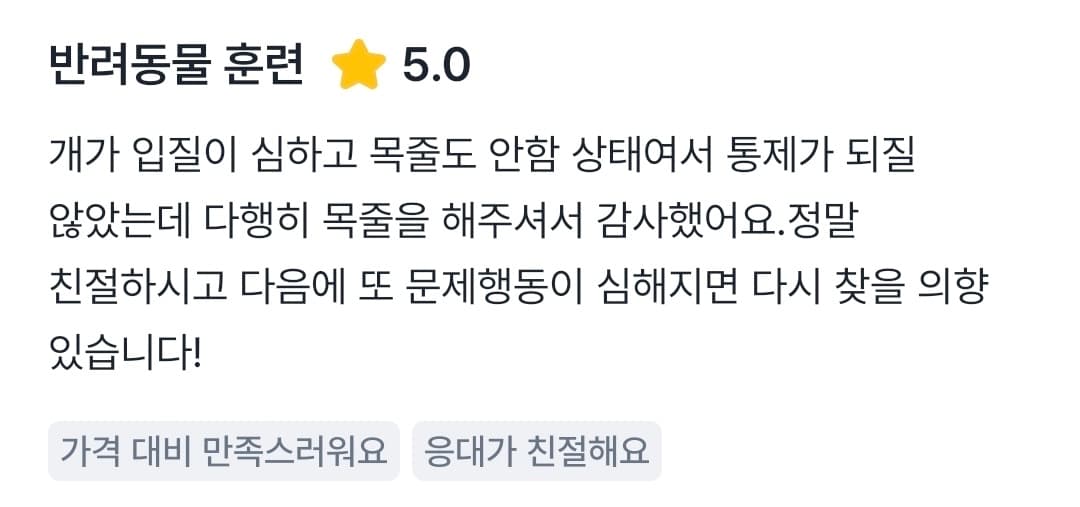 멍멍피트 강아지 방문교육 후기 23